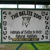 Belize Zoo Walkways for Handicaps