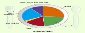 Balanced meal- food group plate- healthy nutrition meal planner plate.