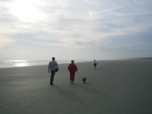 Beach View